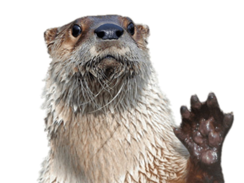 App Manager On-Duty
Curt S.